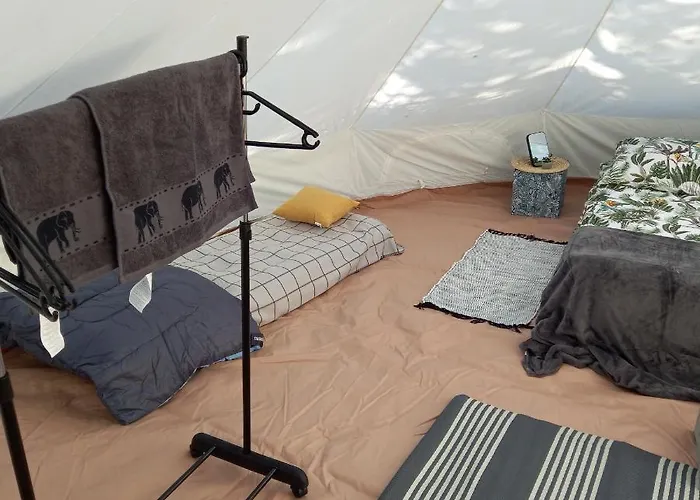 Nalu Glamp 达尔沃沃